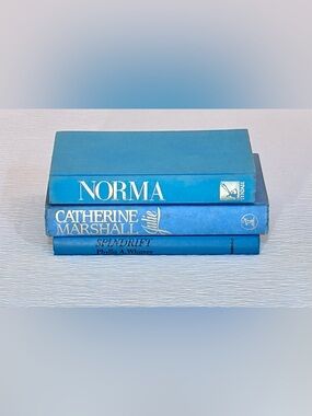 Vintage Blue Decorative Book Stack